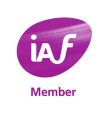 An image of two colourful polar bears made from feathers. On the left the bear is red and is pushing the tail of a yellow bear on it's right. Image courtesy of Paola Pivi and Perrotin.